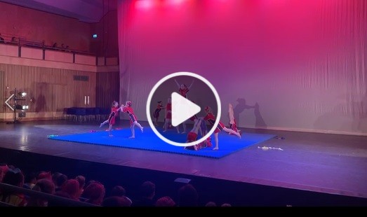 Gymnastics Play
